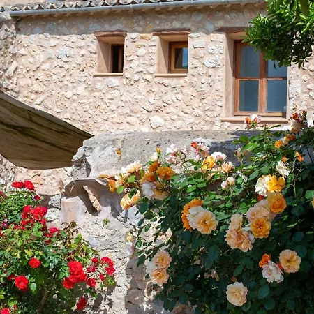Sa Barcella Ti 64 4* Sineu (Mallorca)