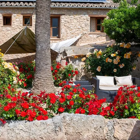 Sa Barcella Ti 64 4* Sineu (Mallorca)
