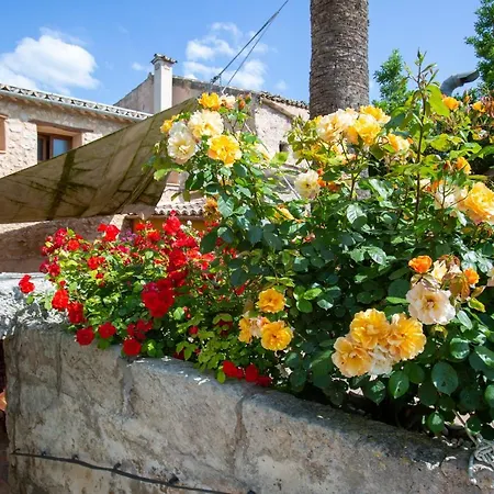 Sa Barcella Ti 64 Sineu (Mallorca)