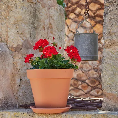 Hotel Sa Barcella Ti 64 Sineu (Mallorca)